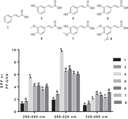 PMC12715986 – cbdv70486-fig-0003