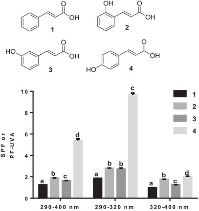 PMC12715986 – cbdv70486-fig-0002