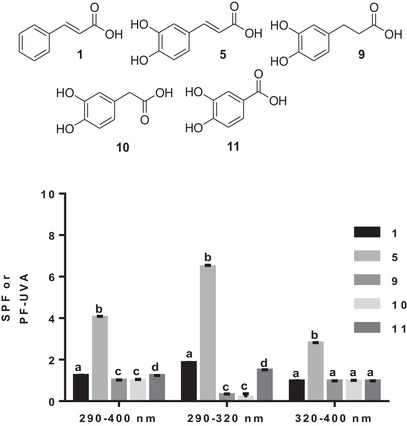 PMC12715986 – cbdv70486-fig-0004