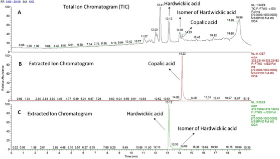 PMC12716019 – cbdv70536-fig-0002