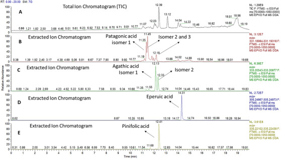 PMC12716019 – cbdv70536-fig-0003