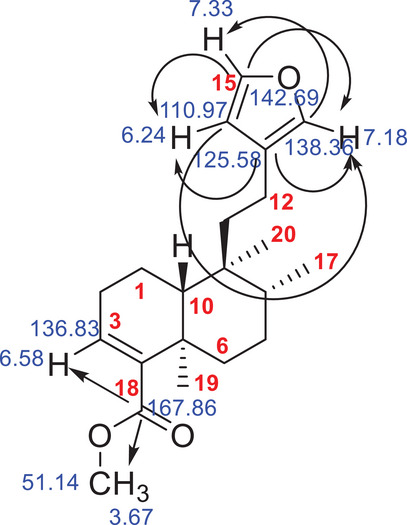 PMC12716019 – cbdv70536-fig-0005