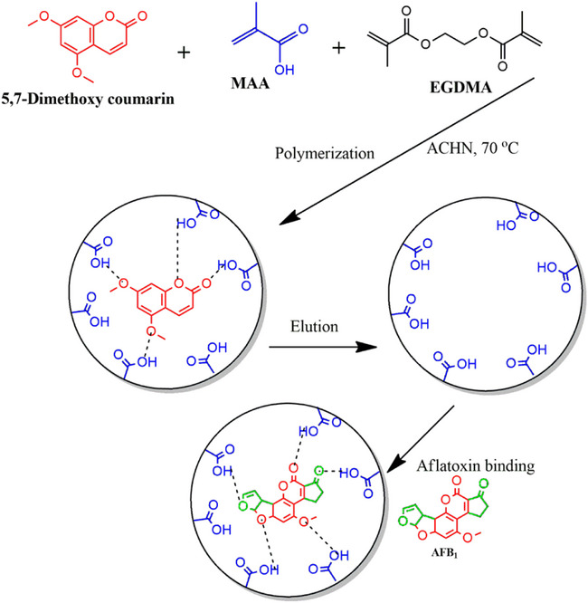 PMC12716015 – cbdv70344-fig-0005