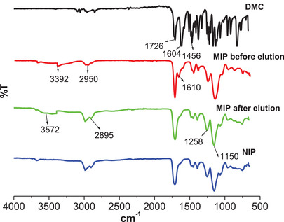 PMC12716015 – cbdv70344-fig-0006