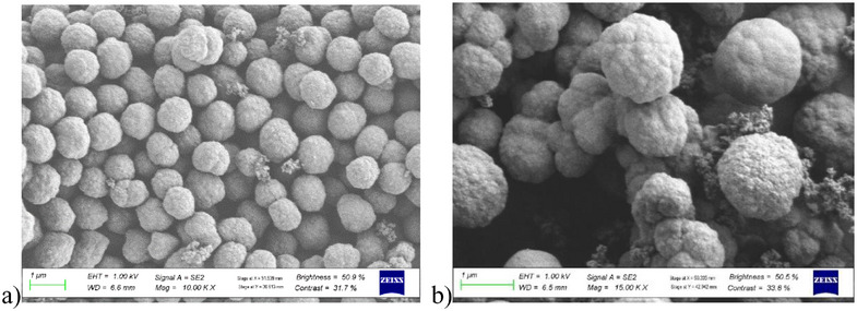 PMC12716015 – cbdv70344-fig-0007
