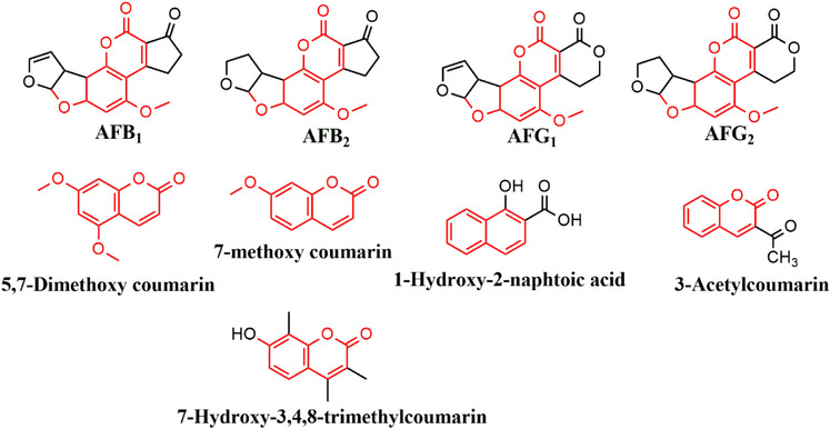 PMC12716015 – cbdv70344-fig-0003