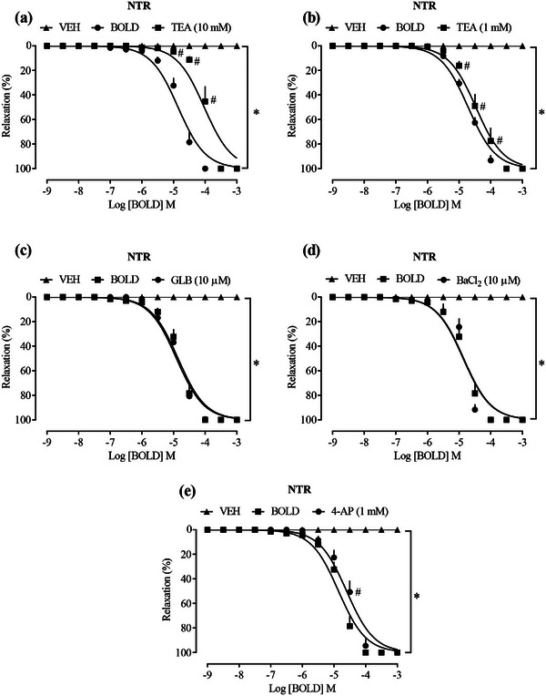 PMC12715998 – cbdv70402-fig-0003