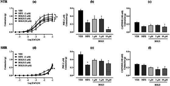 PMC12715998 – cbdv70402-fig-0004