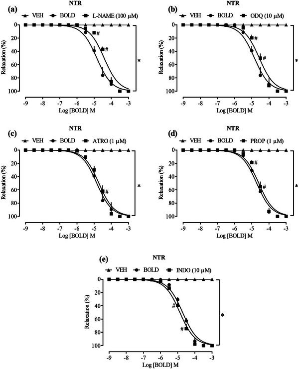 PMC12715998 – cbdv70402-fig-0002