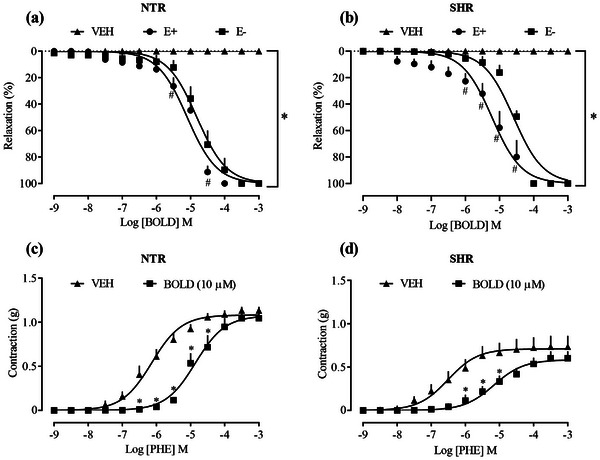 PMC12715998 – cbdv70402-fig-0001