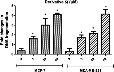 PMC12716005 – cbdv70424-fig-0005