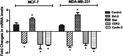 PMC12716005 – cbdv70424-fig-0004