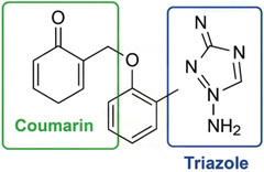 PMC12716005 – cbdv70424-fig-0009