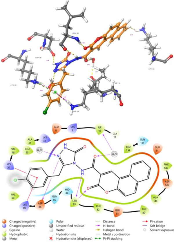 PMC12716005 – cbdv70424-fig-0006