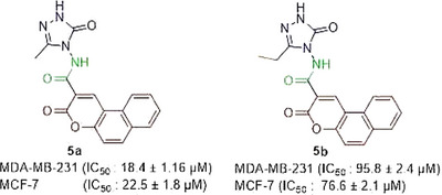 PMC12716005 – cbdv70424-fig-0002