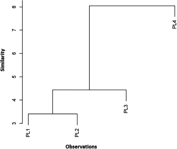 PMC12716009 – cbdv70449-fig-0003