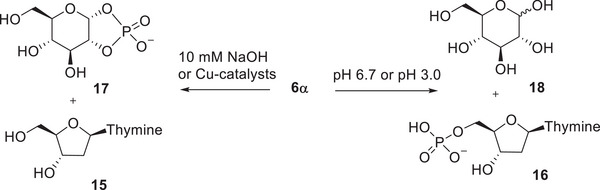 PMC12716006 – cbdv70408-fig-0005
