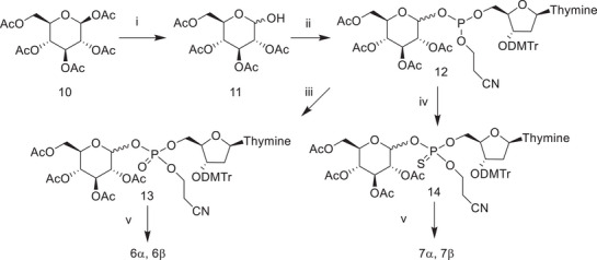 PMC12716006 – cbdv70408-fig-0004