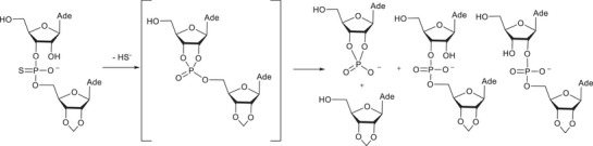 PMC12716006 – cbdv70408-fig-0006