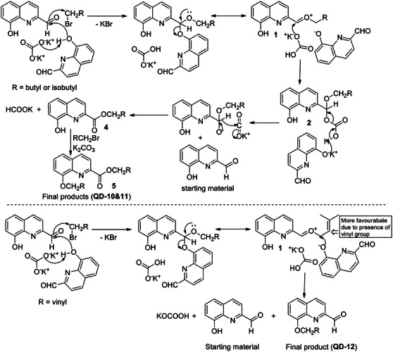 PMC12716008 – cbdv70329-fig-0003