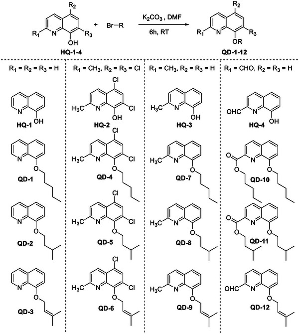 PMC12716008 – cbdv70329-fig-0001