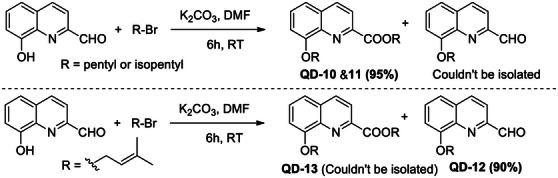PMC12716008 – cbdv70329-fig-0002