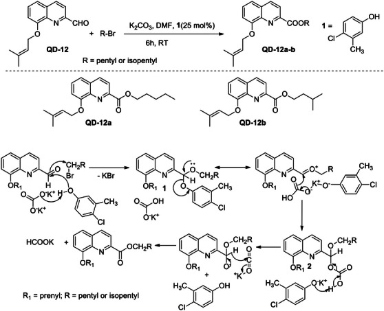 PMC12716008 – cbdv70329-fig-0004