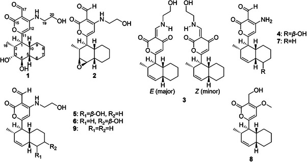 PMC12715977 – cbdv70384-fig-0005