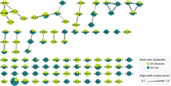 PMC12715977 – cbdv70384-fig-0001