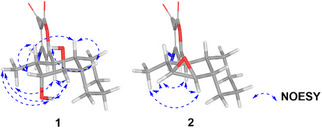 PMC12715977 – cbdv70384-fig-0003