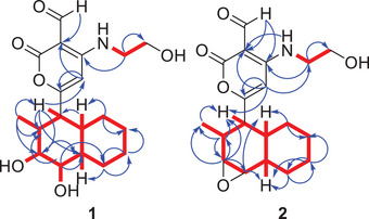 PMC12715977 – cbdv70384-fig-0002