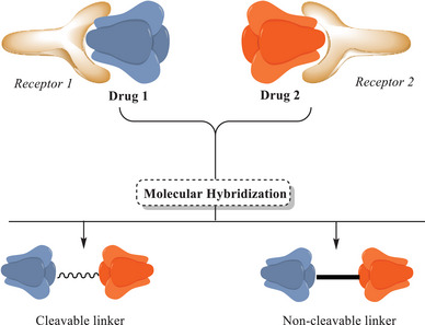 PMC12716016 – cbdv70336-fig-0003