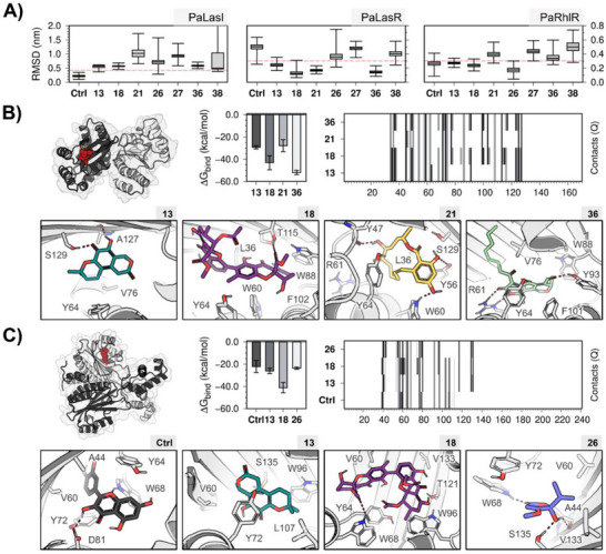 PMC12715988 – cbdv70555-fig-0002
