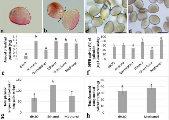 PMC12715996 – cbdv70542-fig-0001