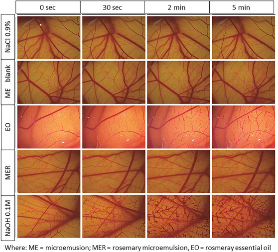 PMC12715995 – cbdv70573-fig-0001