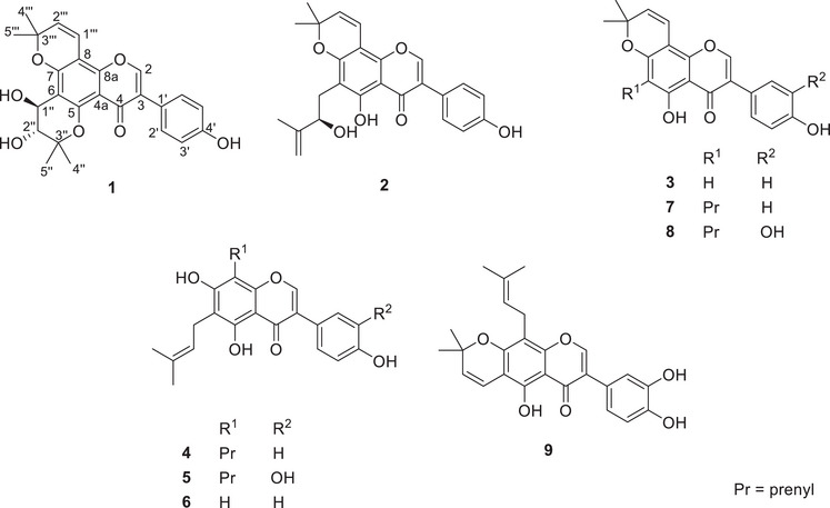 PMC12715979 – cbdv70477-fig-0001