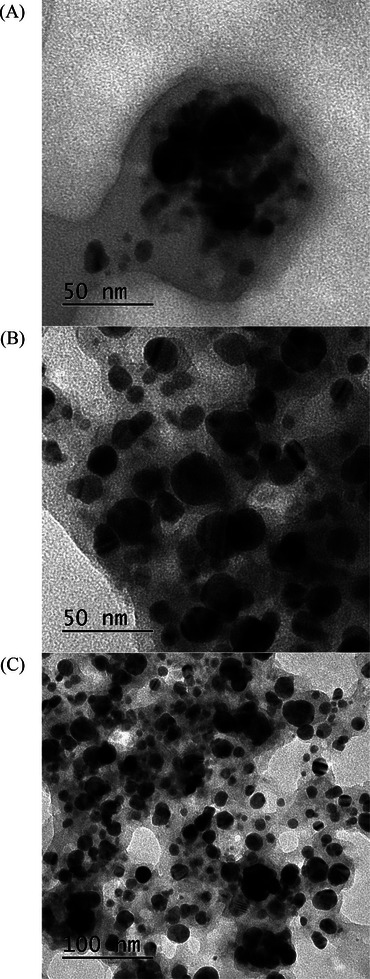 PMC12435430 – cbdv202402348-fig-0005