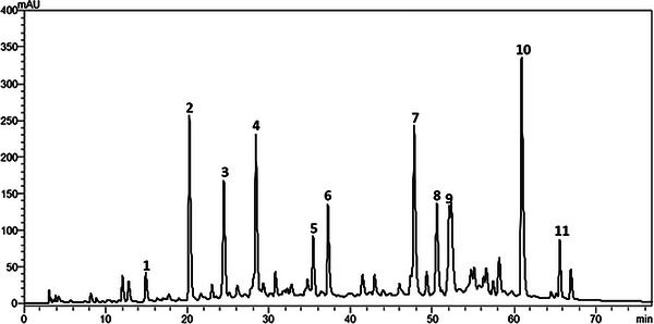PMC12435430 – cbdv202402348-fig-0001