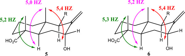 PMC12716004 – cbdv70553-fig-0003