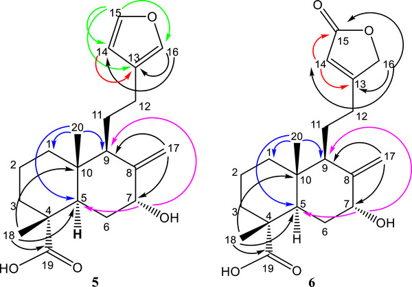 PMC12716004 – cbdv70553-fig-0002