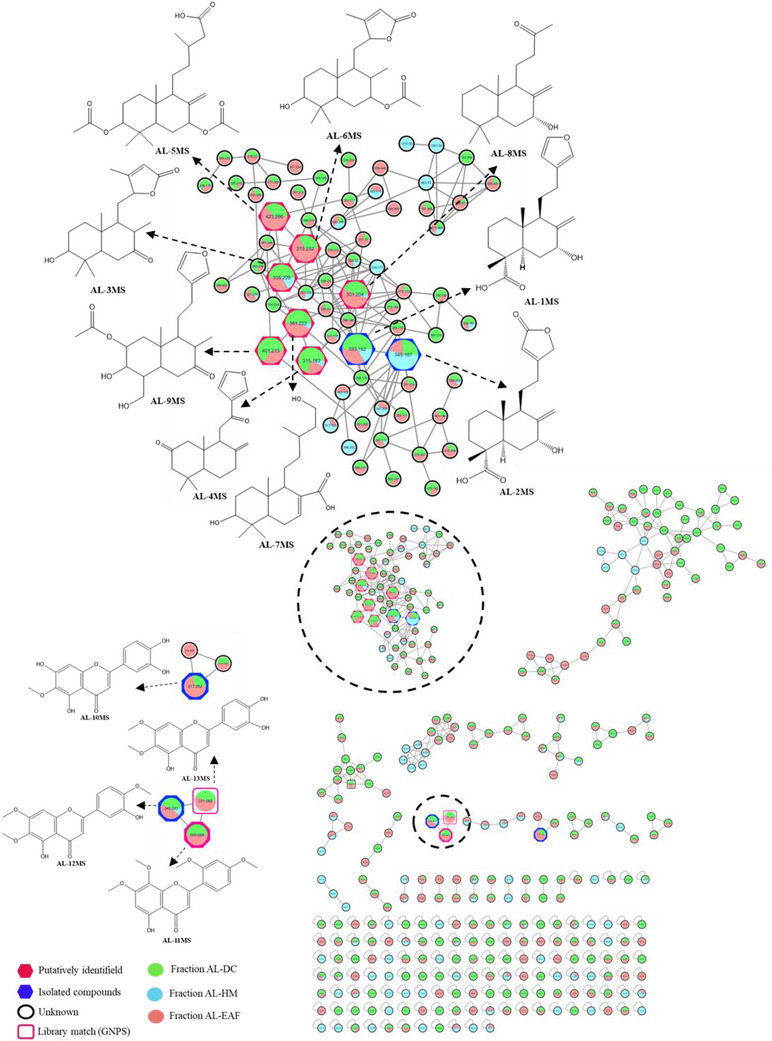 PMC12716004 – cbdv70553-fig-0001