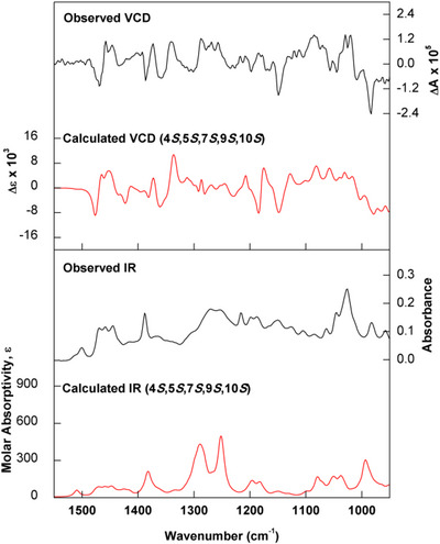 PMC12716004 – cbdv70553-fig-0004