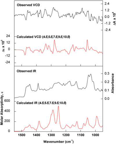 PMC12716004 – cbdv70553-fig-0005