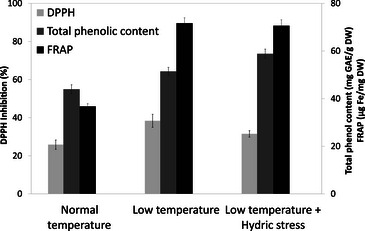 PMC12716007 – cbdv70581-fig-0005