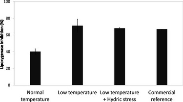 PMC12716007 – cbdv70581-fig-0006