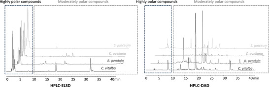 PMC12716007 – cbdv70581-fig-0002