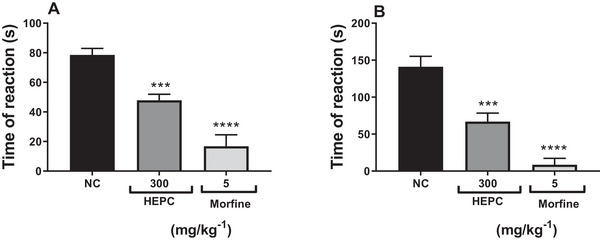 PMC12716002 – cbdv70588-fig-0008