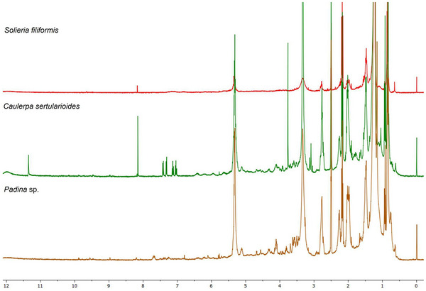 PMC12715994 – cbdv70569-fig-0005