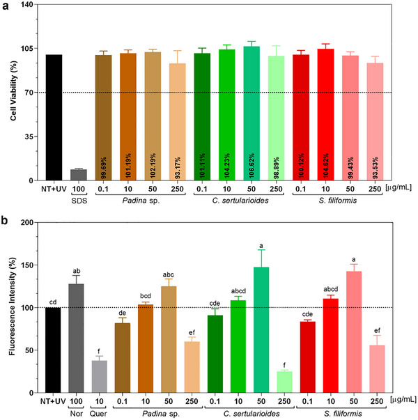 PMC12715994 – cbdv70569-fig-0008