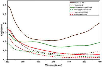 PMC12715994 – cbdv70569-fig-0007